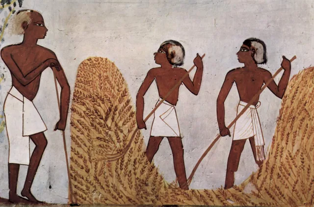La moisson, Égypte ancienne