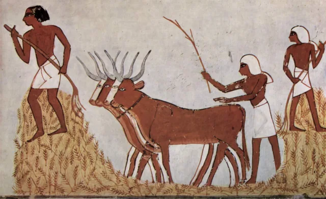 Le battage du blé, Égypte ancienne