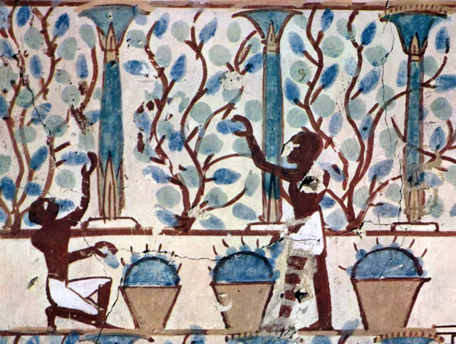 Cueillette dans le jardin, Égypte ancienne