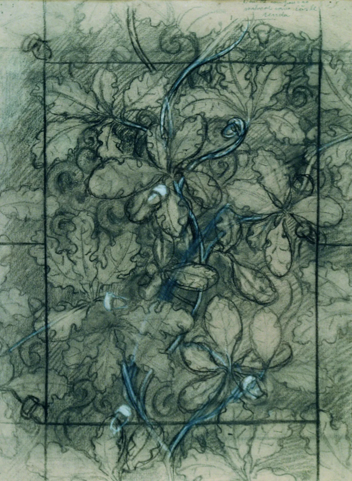 Chêne - Étude pour un tissu, Eliseu Visconti