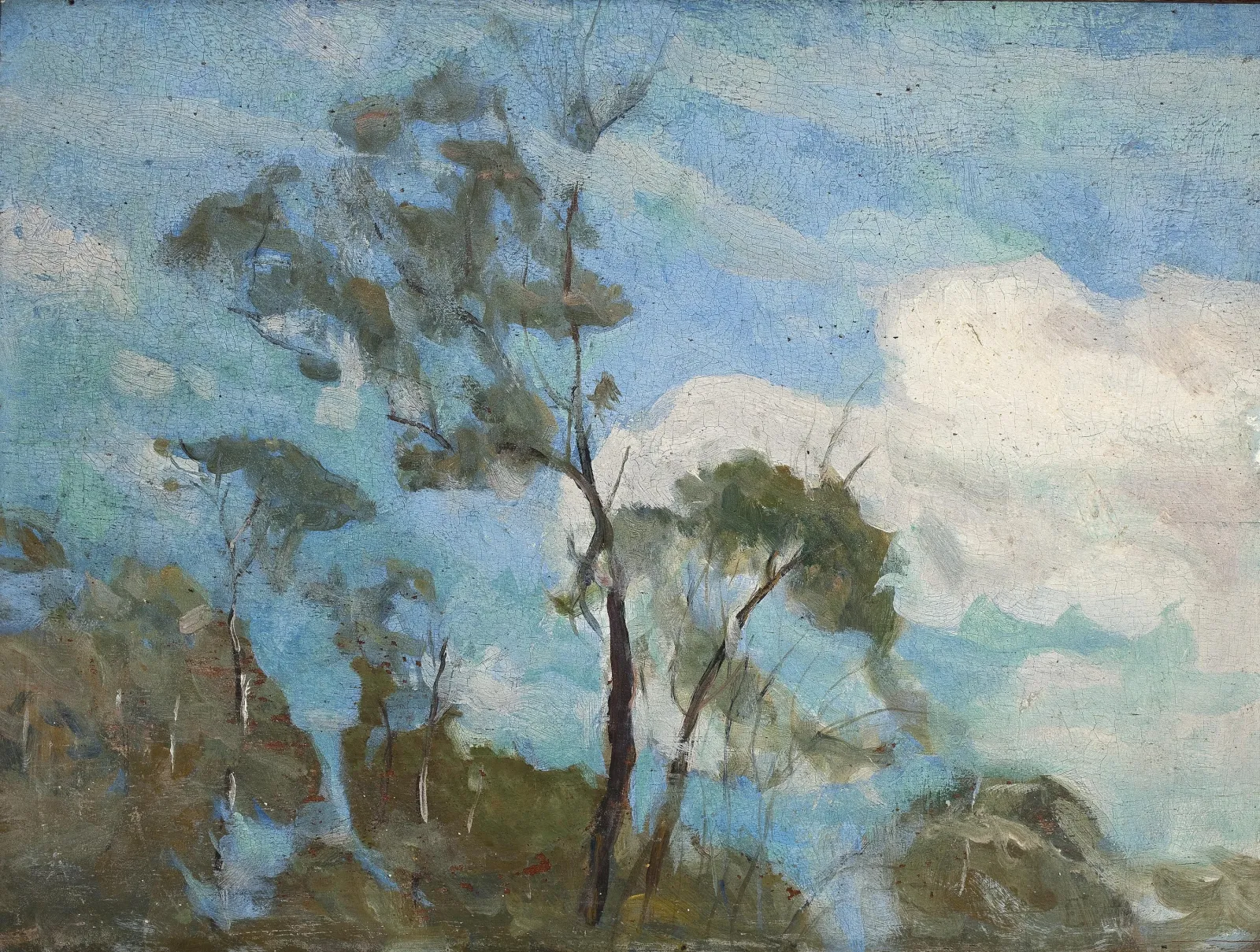 Ciel de Teresópolis, Eliseu Visconti