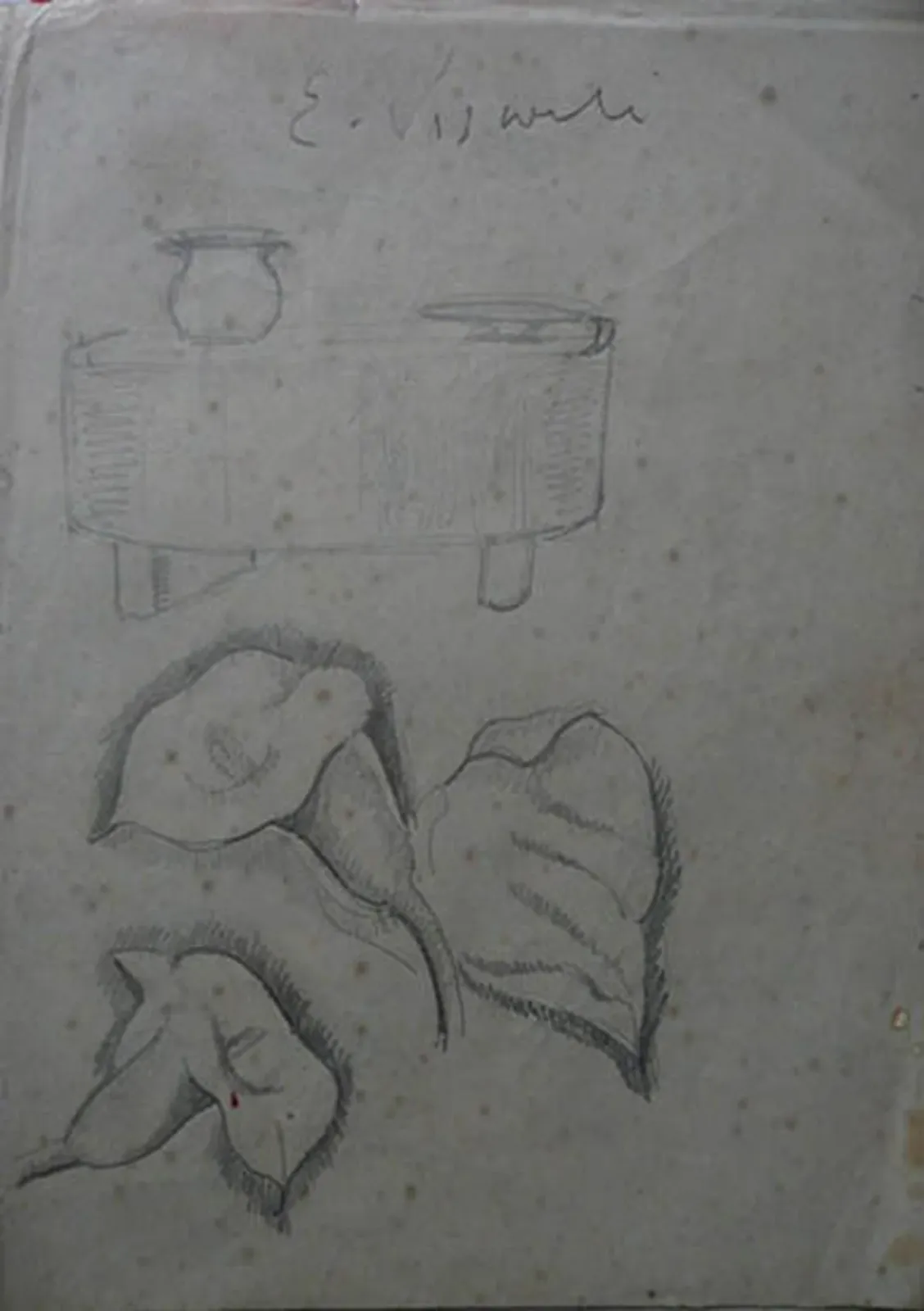 Arums - Feuillet détaché d'un carnet de notes, Eliseu Visconti