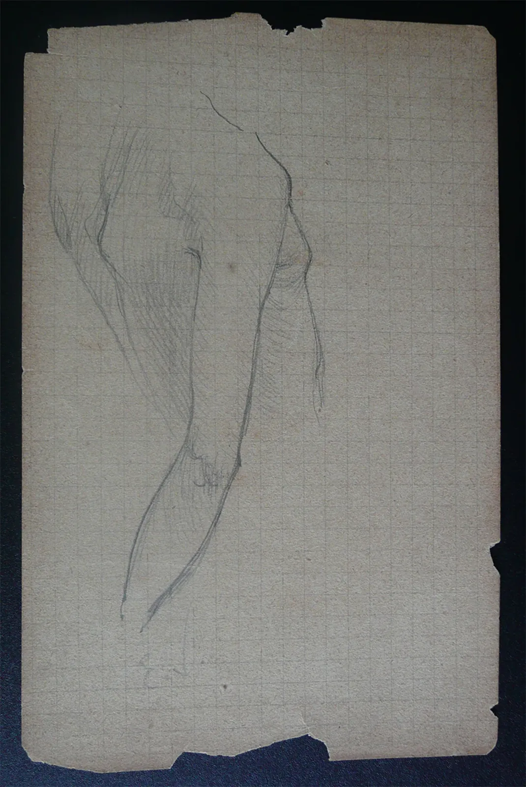 Dos de femme - Étude pour « Oréades » - Feuillet détaché d'un carnet de notes, Eliseu Visconti