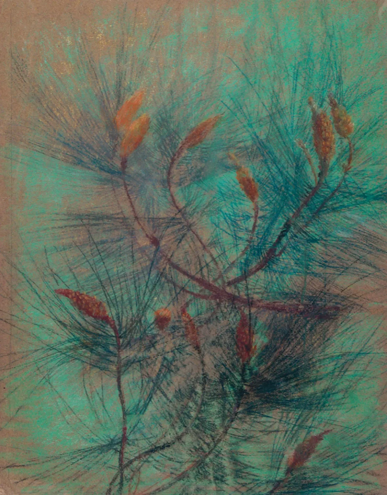 Branches de pin - Étude pour un tissu, Eliseu Visconti