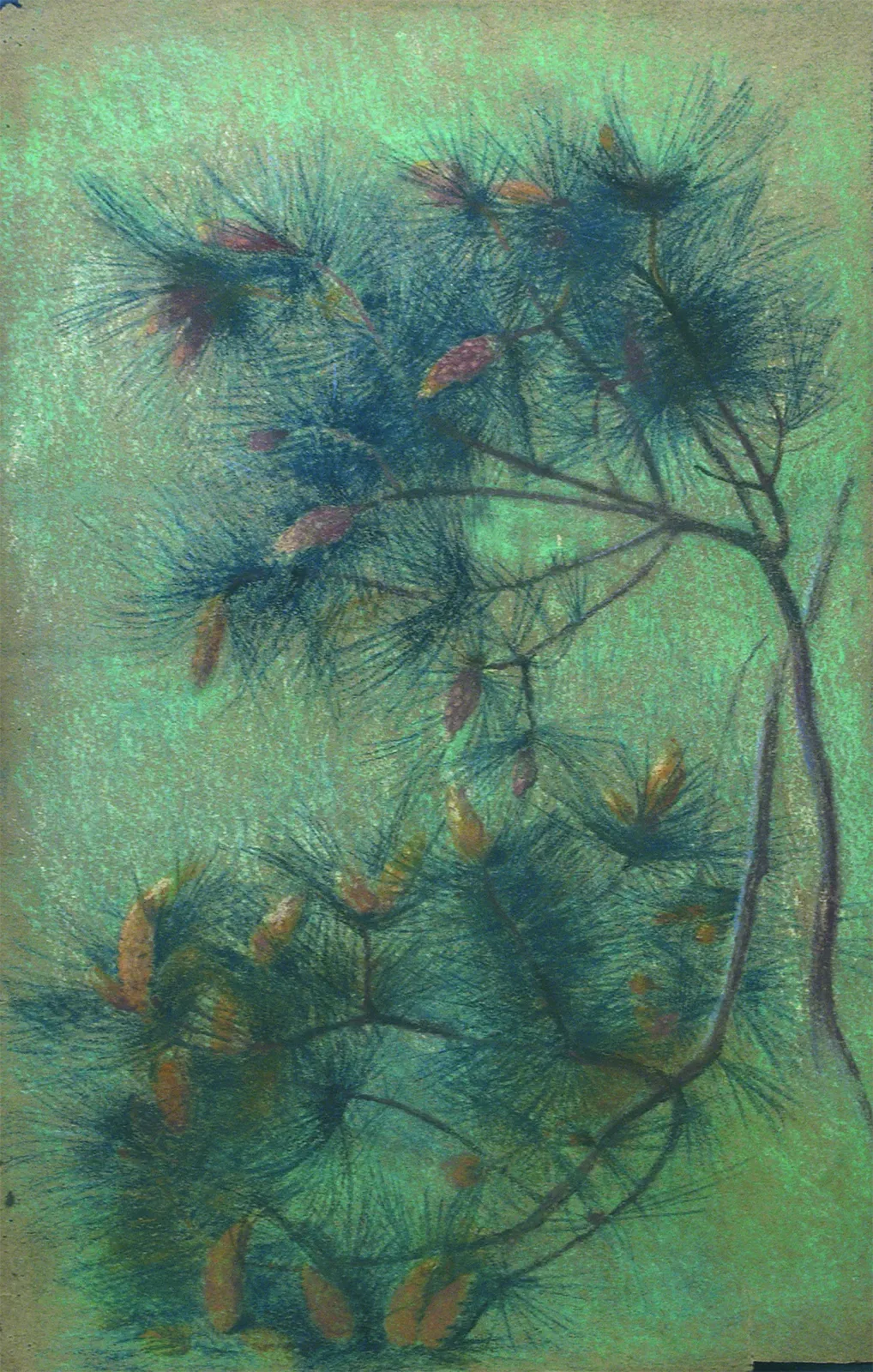 Branches de pin - Étude pour un tissu, Eliseu Visconti