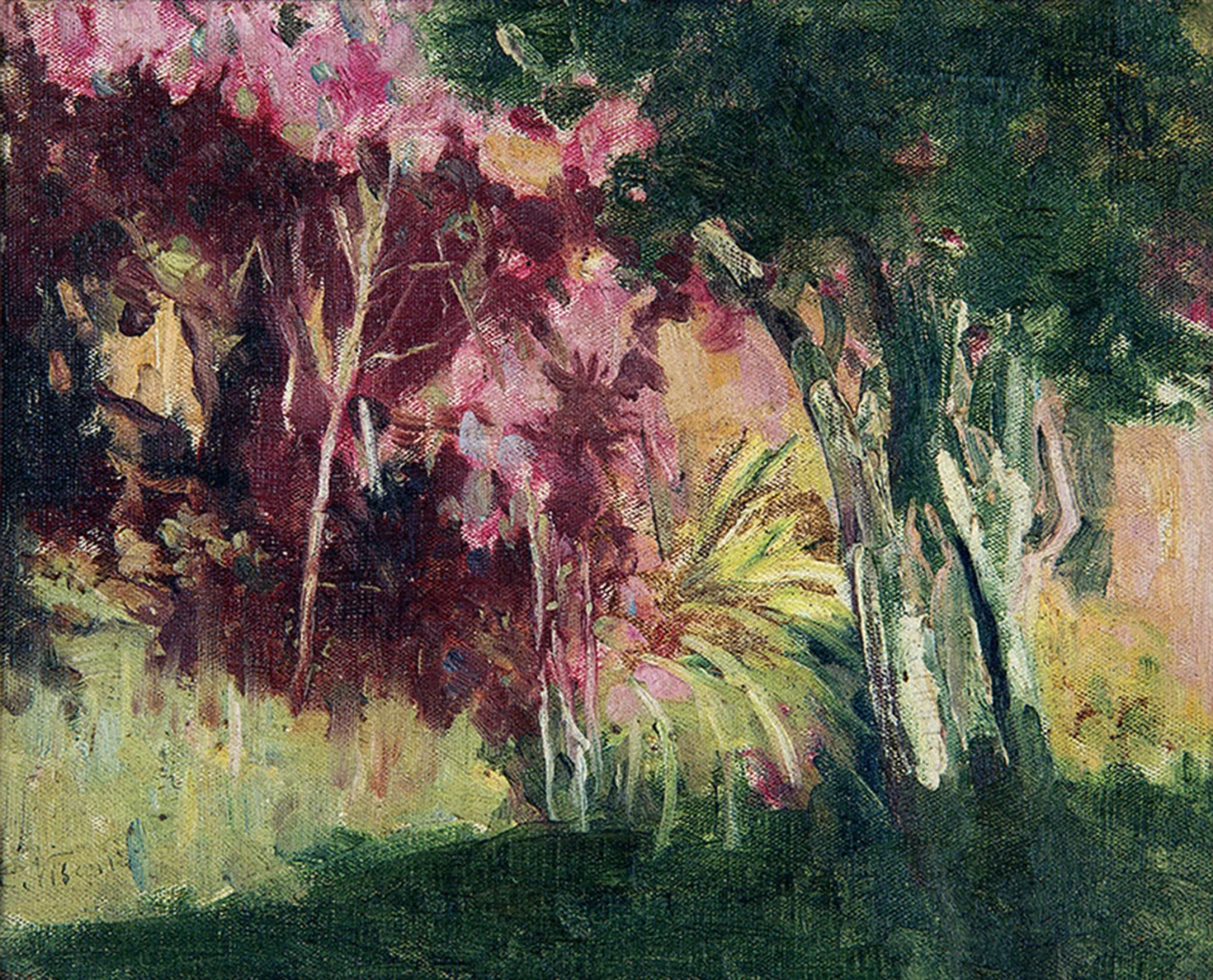 Jardin tropical, Eliseu Visconti
