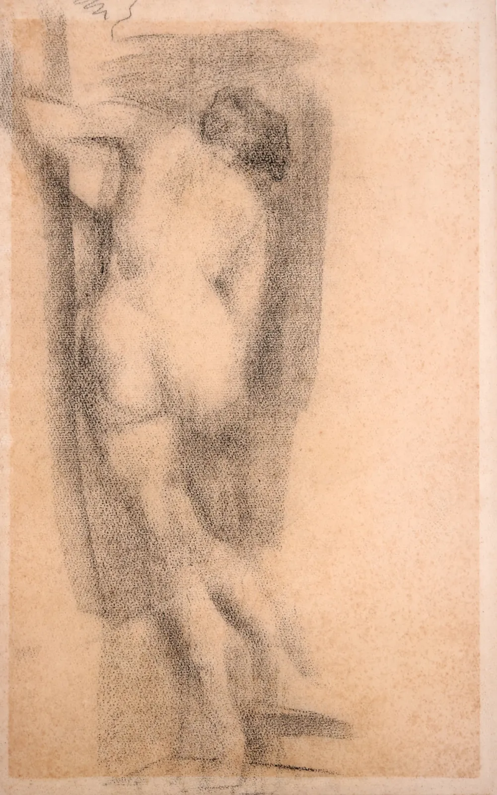 Nu de dos, Eliseu Visconti