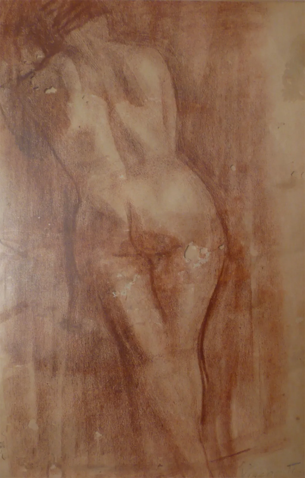 Nu féminin de dos, Eliseu Visconti