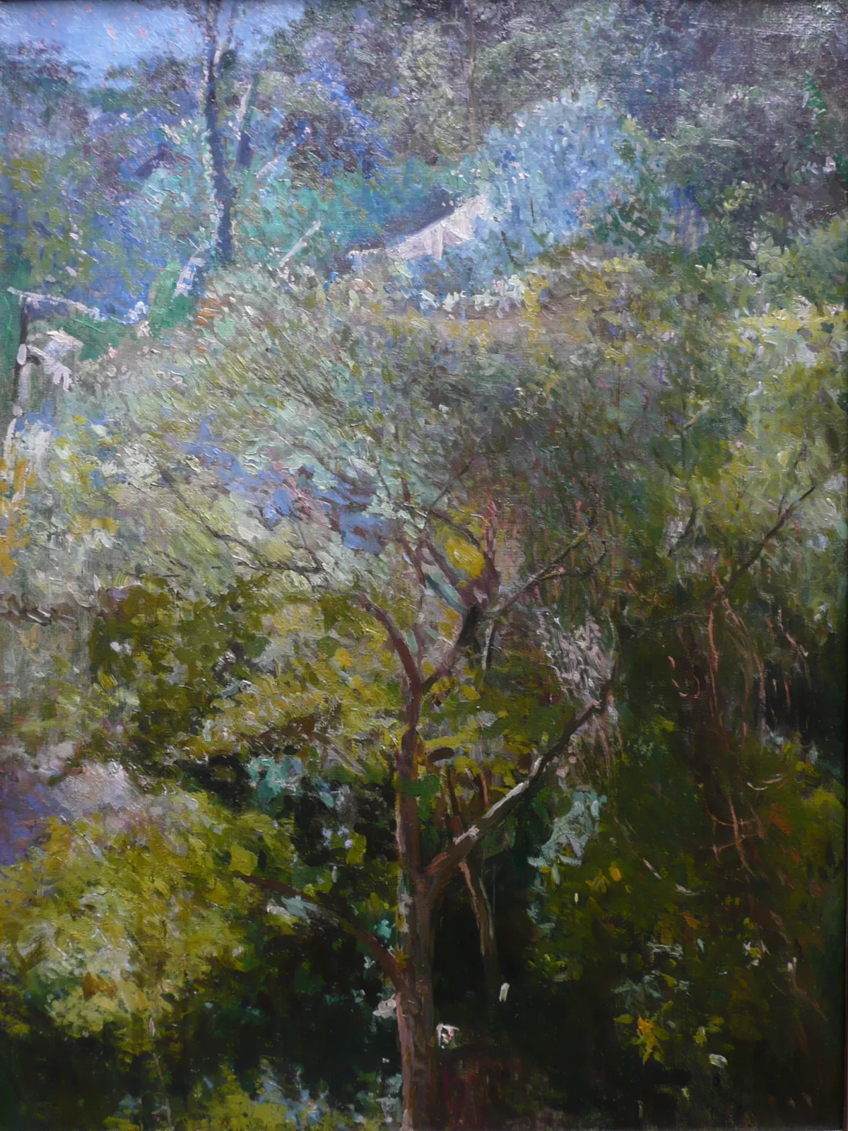 Paysage tropical, Eliseu Visconti