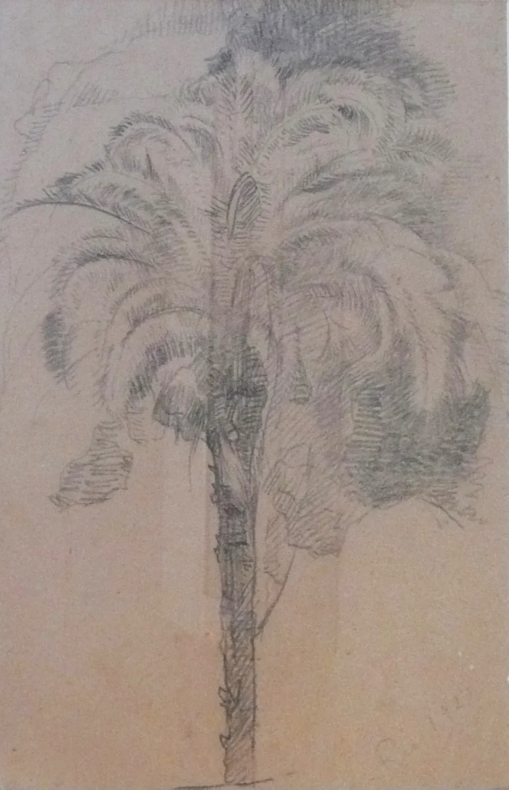 Palmier, Eliseu Visconti