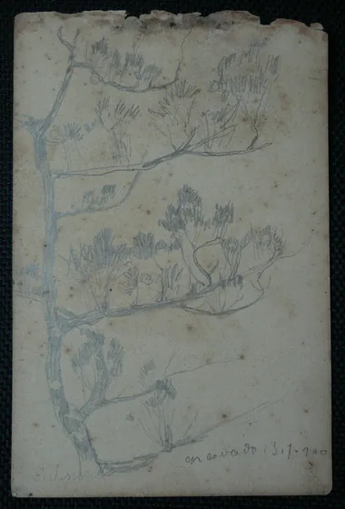 Arbustes - Feuillet détaché d'un carnet de notes
