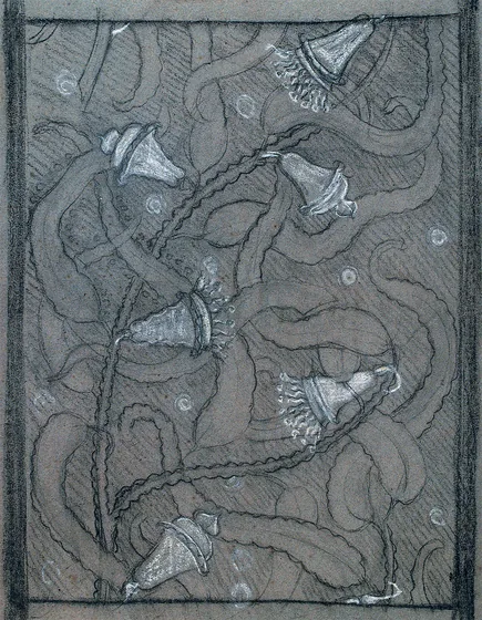 Campanules