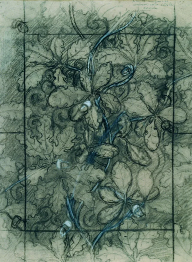 樫（布地のための習作）