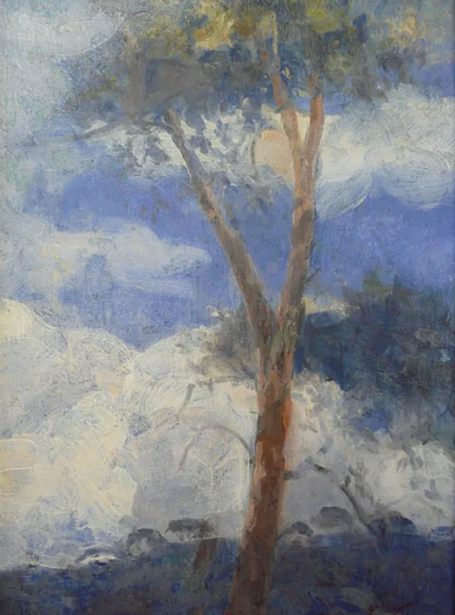 Cielo de Teresópolis