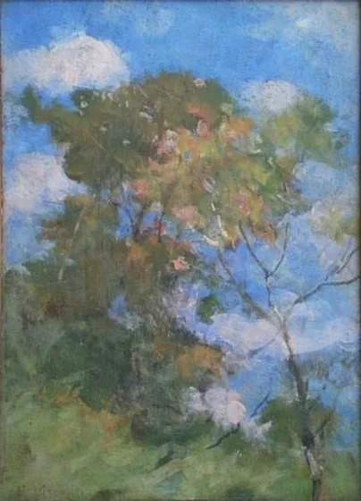 Ciel de Teresópolis