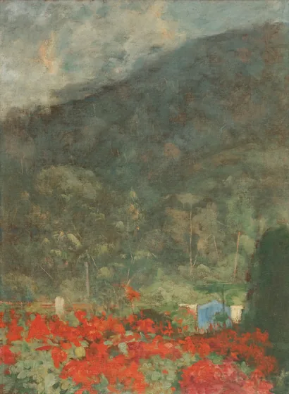 Effet du matin, paysage de Teresópolis