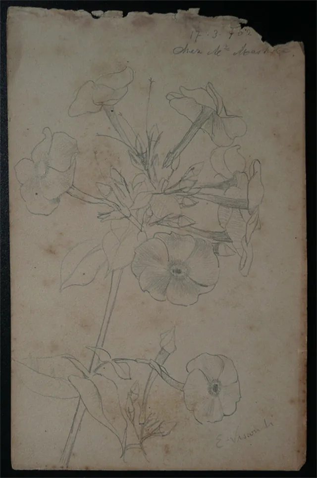 花（手帳から切り離した一葉）