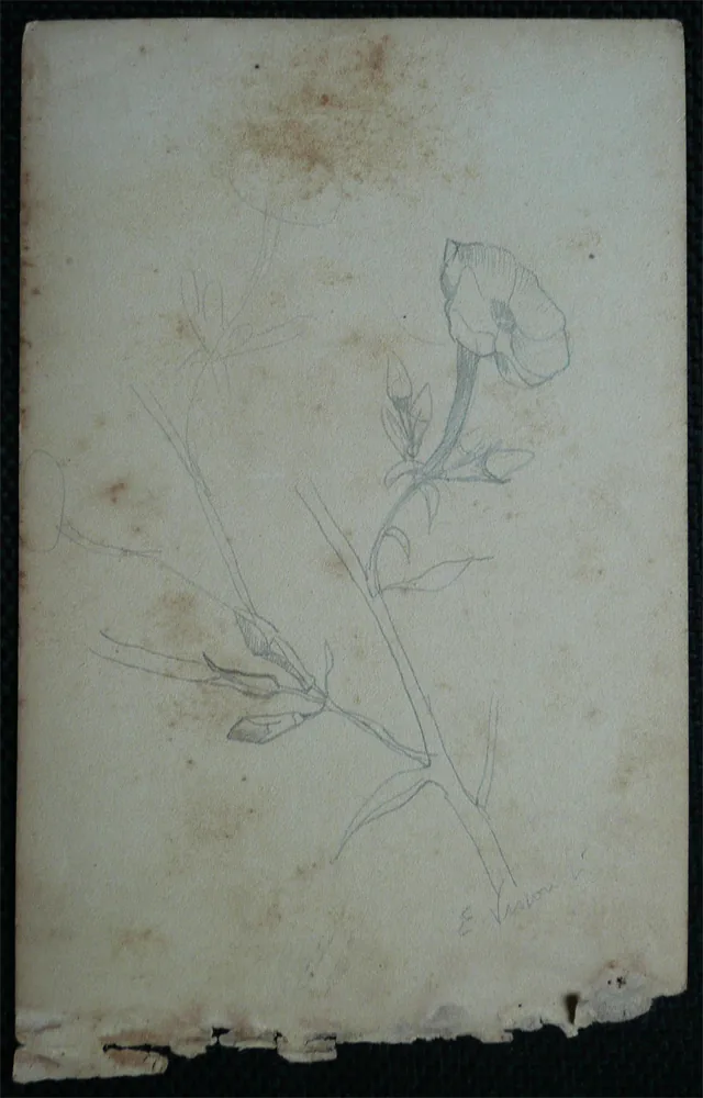花（手帳から切り離した一葉、作品D966の裏面）