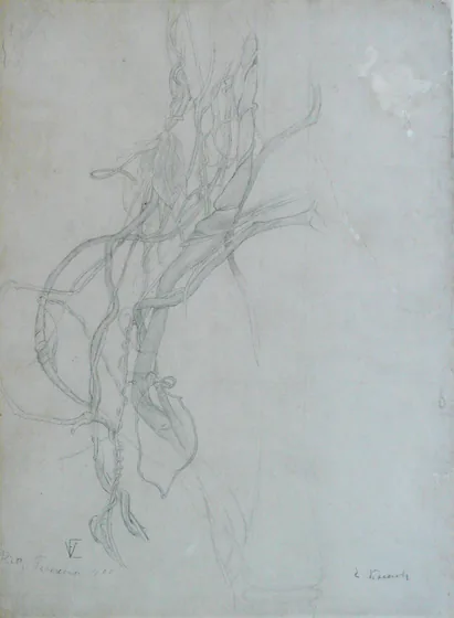Branches entrelacées - Étude
