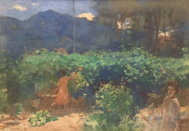 Emparrado de chayotes