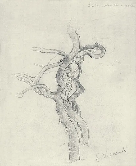 Garçon dans l'arbre