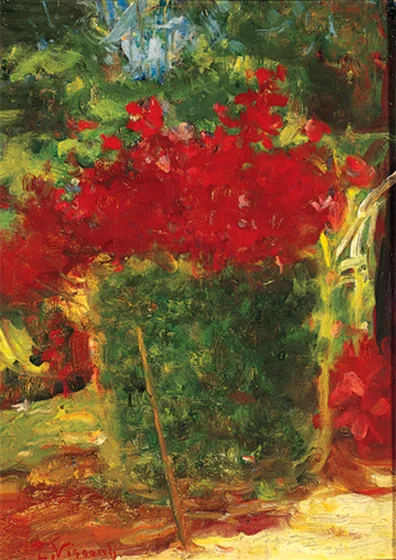 Mon jardin