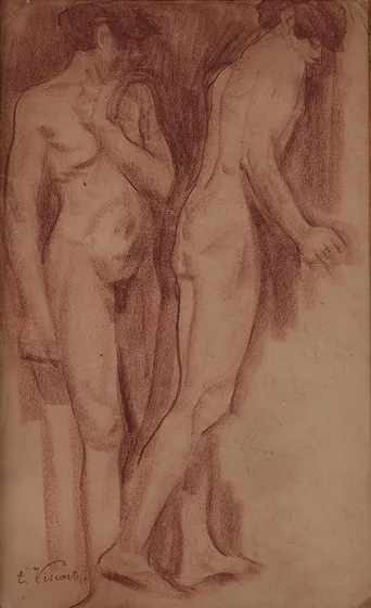 Nus