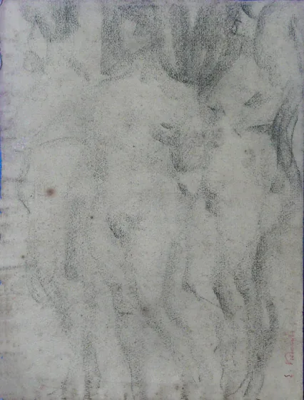 Nus féminins