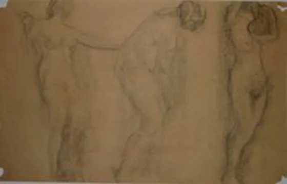Nus féminins