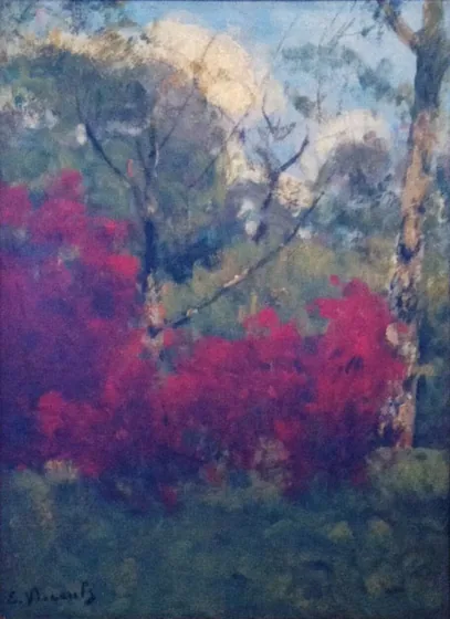 Paysage avec des arbustes