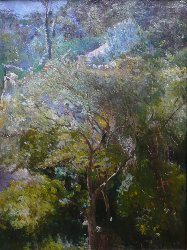 熱帯の風景