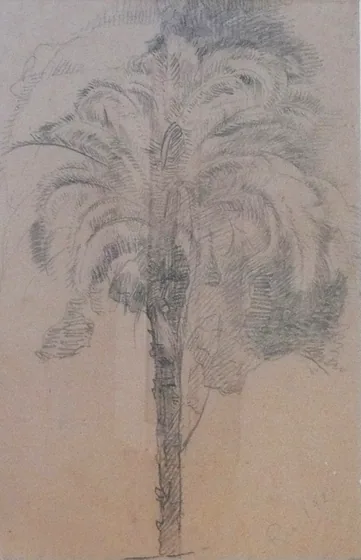 Palmier