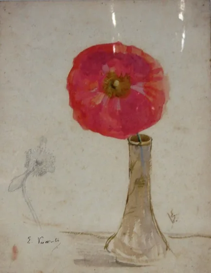 Pavot et œillet