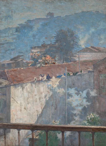 Pigeons de mon atelier