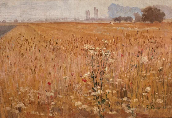 Champ de blé