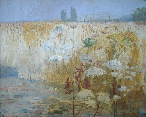 Champ de blé