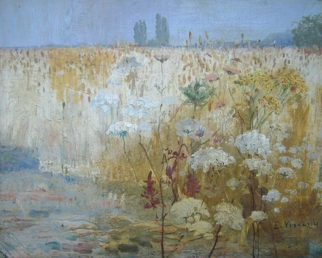 Campo de trigo