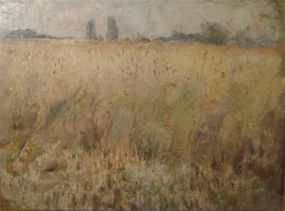Champ de blé