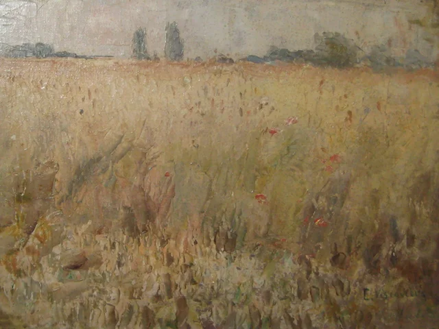 Campo de trigo