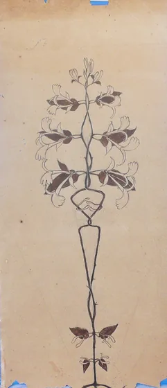 Végétal
