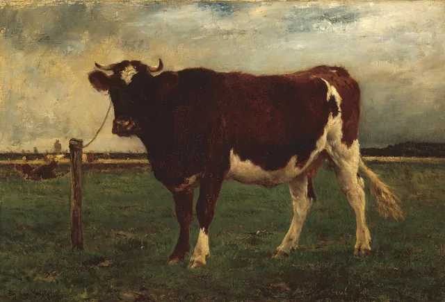 Study of a Cow, Émile van Marcke