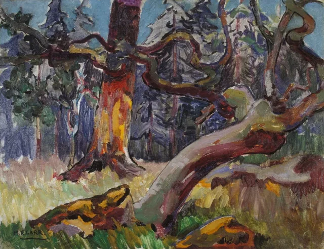 Soleil dans la forêt