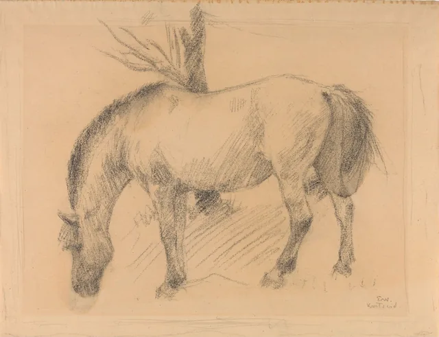 フィヨルド馬