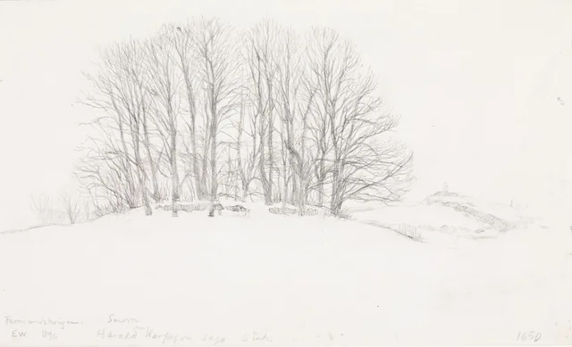 スノッリ・ストゥルルソン『ノルウェー王朝史』（クリスチャニア、1899年）の「美髪王ハーラルのサガ」の挿絵のための準備習作、ファルマンスハウゲン