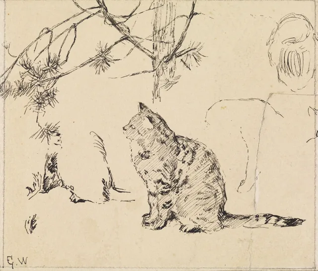 猫と松の枝の習作