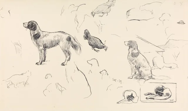 犬と雌鶏と猫の習作