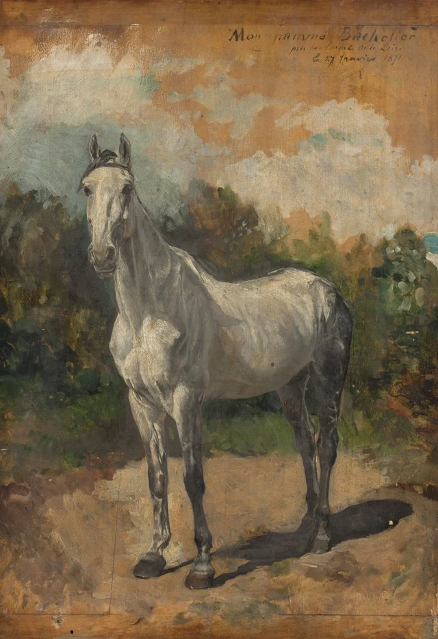 Bachelier, caballo del artista