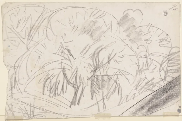 Bouquet d'arbres