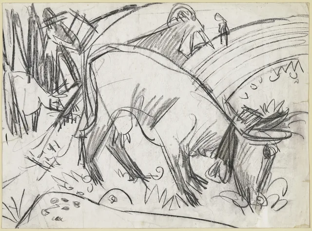 Vache qui broute
