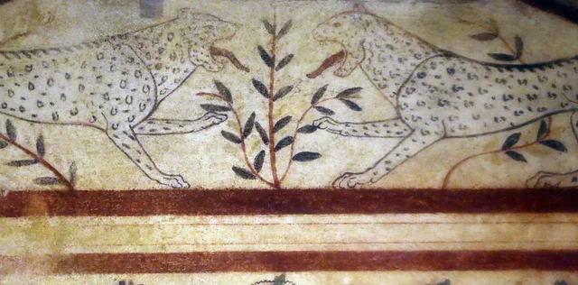 Two leopards facing each other across a shrub